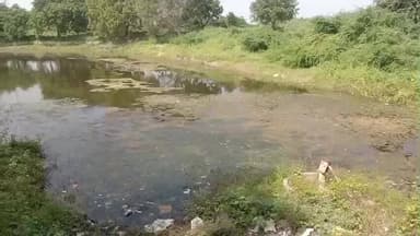 அருப்புக்கோட்டை: ஆமணக்கு நத்தம் கிராமத்தில் கண்மாயில் கழிநீர் கலப்பதால் தண்ணீர் மாசுபடுவதோடு தூர் வாராமல் இருக்கும் கண்மாய் தூர்வார பொதுமக்கள் கோரிக்கை