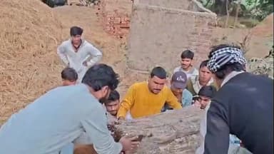 नौहट्टा: ठंड से राहत के लिए वार्ड पार्षद ने जलवाए अलाव, कई स्थानों पर पहुंचाई लकड़ी