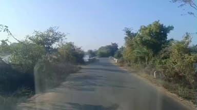 चिखली: चिखली क्षेत्र में सर्दी से ठिठुरन बढ़ी, तापमान 10 डिग्री से नीचे गिरा