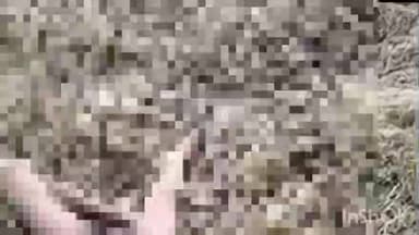 ହିଞ୍ଜିଳି: ହିଞ୍ଜିଳି କାଟୁ ବେଲ ଗାଁ ଥାନା ଅନ୍ତର୍ଗତ ସାହାପୁର ଠାରୁ ଖୋସାଲ ପଲ୍ଲୀ ଯିବା ମୁଖ୍ୟରାସ୍ତା ମେଘାଦଣ୍ଡା ଠାରେ ଅଜଣା ଯୁବକଙ୍କ ମୃତ ଦେହ ଉଦ୍ଧାର