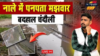 चंदौली: योगी के गड्ढा मुक्त अभियान की स्थिति दयनीय,लोग नाले पर रहने को हैं मजबूर। खबरों के खिलाड़ी
#Chandaulinews #Gro...