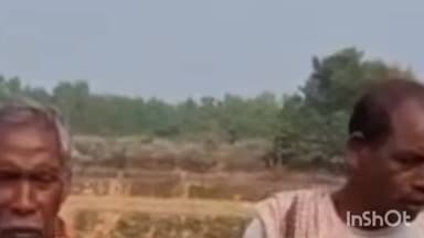 ବେଗୁନିଆ: ବେଗୁନିଆ ଅଞ୍ଚଳରେ ହାତୀ ମୁଁହରେ ଯାଉଛି ବର୍ଷକର ଆହାର ଏନେଇ ପତିକ୍ରିୟା ରଖିଲେ ସ୍ଥାନୀୟ କ୍ଷତିଗ୍ରସ୍ତ ଚାଷୀ