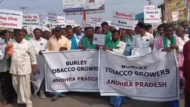 వినుకొండలో పొగాకు రైతుల భారీ ర్యాలీ