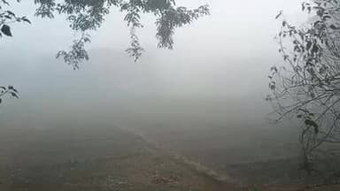 भरनो: भरनो समेत ज़िले में गिरा तापमान, 8 जनवरी तक स्कूल बंद