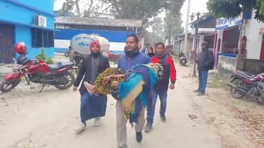 ইটাহার: শুনানির লাইনে ইটাহার BDO অফিসে অজ্ঞান সত্তোরের বৃদ্ধা, কোলে তুলে দোতলায় শুনানি কক্ষে নিয়ে গেলেন খোদ উপপ্রধান