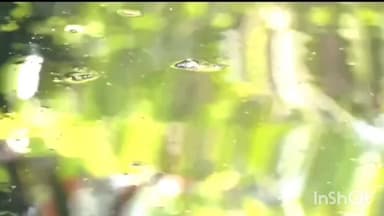 കോഴിക്കോട്: അമീബിക് മസ്തിഷ്ക ജ്വരം ബാധിച്ച് വയോധികൻ മരിച്ചു, മരിച്ചത് പുതിയങ്ങാടി സ്വദേശി