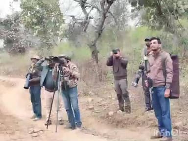 भानपुरा: एशियन वॉटरबर्ड सेंसस संपन्न, 169 प्रजातियों के पक्षी दर्ज किए गए