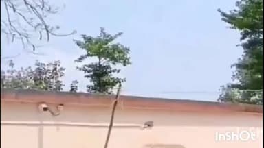 चौसा: नवजात की मौत का मामला सोशल मीडिया पर छाया, थाना अध्यक्ष, डॉक्टर समेत पांच पर केस दर्ज