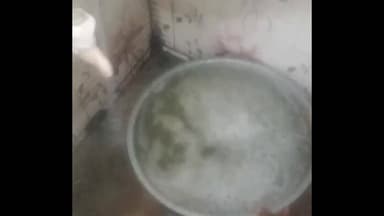 सिंगोली: ग्राम थड़ोद में 10 दिनों से दूषित पानी पी रहे ग्रामीण, नीमच कलेक्टर को भेजा वीडियो