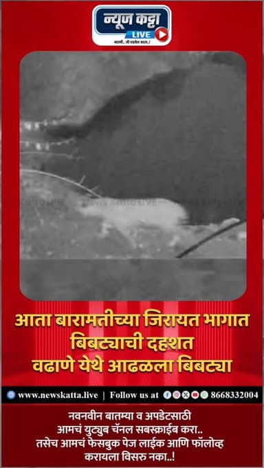 🚨BARAMATI : बारामतीच्या जिरायत भागात बिबट्याचा वावर आढळला आहे. त्यामुळं ग्रामस्थ आणि शेतकऱ्यांमध्ये भितीचं वातावरण निर्म...