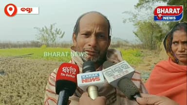 #ବିଳମ୍ବିତ_ରାତିରେ_12_ଟିକିଆ_ହାତୀ_ପଲ ଙ୍କ ଉପଦ୍ରବ, ଭାଙ୍ଗିଲେ ଘର,ଧାନ ଓ ପନିପରିବା କଲେ ନଷ୍ଟ, ସୁଚନା ଅନୁଯାୟୀ ବାଲେଶ୍ବର ଜିଲ୍ଲା ବସ୍ତା ବ...