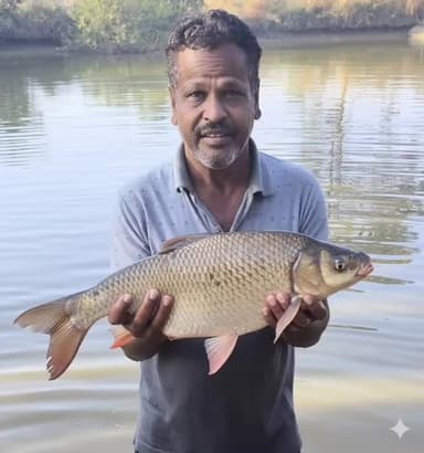 लैलूंगा: मत्स्य संपदा योजना से हरिशंकर पटेल की तकदीर बदली, मछली पालन से सालाना ₹3 लाख की कमाई