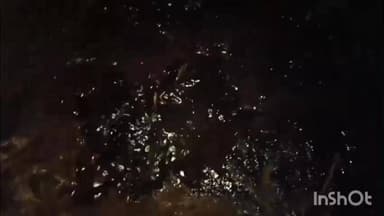 টিংখং: টিংখাং হালমাৰিত অইলৰ পাইপ ফাটি তেল নিৰ্গমন হোৱা ঘটনাই নিশা সৃষ্টি কৰে আতংকৰ পৰিবেশ