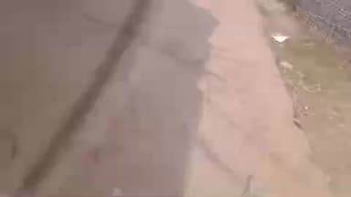 मतली जमुनाहाई के गांव में बिछड़ा हे #मतली #पन्ना #panna #matle#