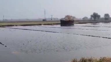 તારાપુર: આંબલીયારામાં કાંસના ખુલ્લા પાળાના કારણે ઘઉંના પાકમાં પાણી ફરી વળ્યા