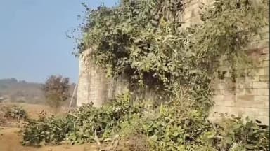 रोहतास: रोहतास में गंगा-जमुनी तहज़ीब की मिसाल, हिंदुओं ने 500 साल पुरानी मस्जिद को संवारने में किया सहयोग