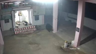 நாங்குநேரி: மீனவன் குளம் சுடலை மாடன் கோவில் வளாகத்தில் சுற்றித்திரிந்த கரடி. வைரலாகும் சிசிடிவி காட்சி.