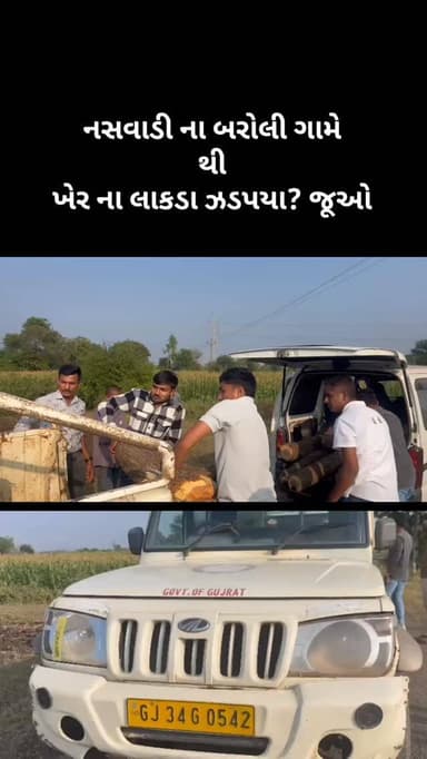 #news #trending #live #bodeli #viral