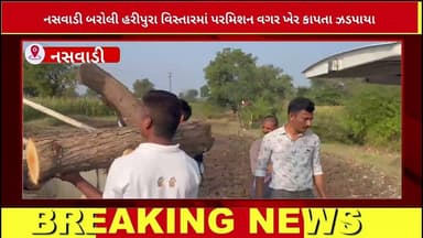 નસવાડી ના બરોલી ગામે થી ખેર ના લાકડા ઝડપયા? જૂઓ