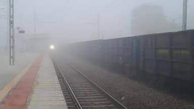 मौजमाबाद: ग्रामीण इलाकों में कड़ाके की ठंड से जनजीवन प्रभावित, घने कोहरे से रुकी ट्रेनों और वाहनों की रफ्तार