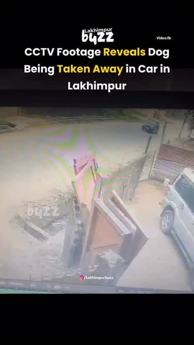 Lakhimpur town is witnessing a worrying rise in dog missing and theft cases, even as CCTV cameras have been installed ac...