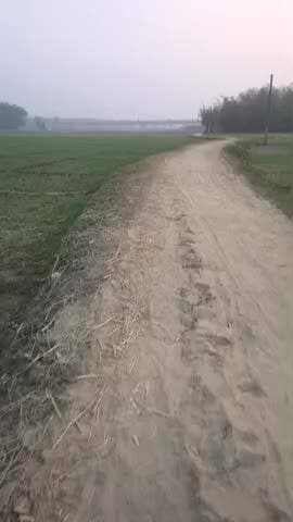 lalva Rahi bheja ward number 2