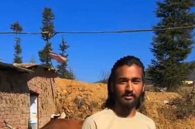 चंपावत। #8_करोड का #पेमेंट_न_होने से #कंपनी ने #सीएम_घस्यारी_योजना के साइलेज की #सप्लाई_बंद। पशुपालक परेशान।
चंपावत। उ...