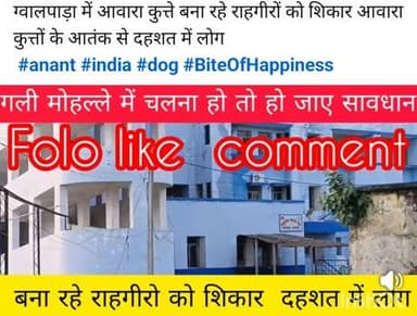 ग्वालपाड़ा में आवारा कुत्ते बना रहे राहगीरों को शिकार आवारा कुत्तों के आतंक से दहशत में लोग
#anant #india #dog #BiteOfH