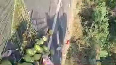 તાલાળા: સુરવા - માધુપુર વચ્ચે નાળિયેર ભરેલ છકડો ,બાઇક અને આઇસર વચ્ચે ત્રીપલ અકસ્માત સર્જાયો કાકા ભત્રીજા સહીત 3 ના મોત