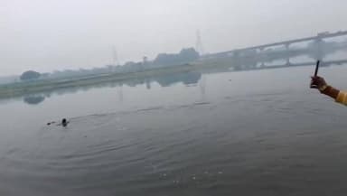 फिरोजाबाद क्षेत्र की यमुना नदी का उक्त वीडियो बताया #मिसाल # जा रहा है।वीडियो में किस तरह एक साहसी युवक ने भीषण ठंड में ...