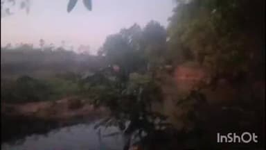 କେନ୍ଦୁଝର ସଦର: କେନ୍ଦେଇପଶି ଓ ଜହ୍ନେଇପଶି ମଝିରେ ଥିବା ଶାଳ ଜଙ୍ଗଲରେ ପଚିଶ ଦଳିଆ ହାତୀପଲ