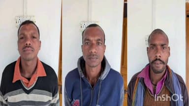 चुरहट: चुरहट वन क्षेत्र में दो तेंदुए मृत मिले, शिकार में शामिल तीन आरोपी गिरफ्तार