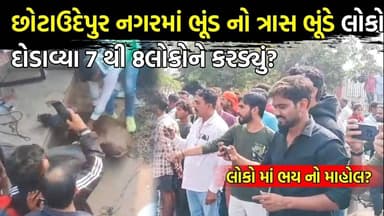છોટાઉદેપુર નગરમાં સુવરોનો ત્રાસ ભૂંડે લોકોને દોડાવ્યા 7 થી 8લોકોને કરડ્યું? લોકો માં ભય નો માહોલ?