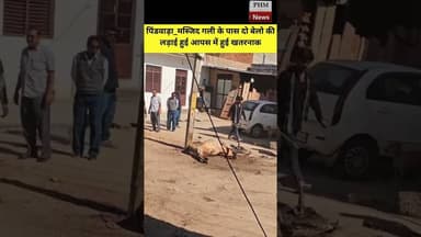 #पिंडवाड़ा मस्जिद गली के पास दो बेलो की लड़ाई हुई आपस में हुई खतरनाक #shorts #viral