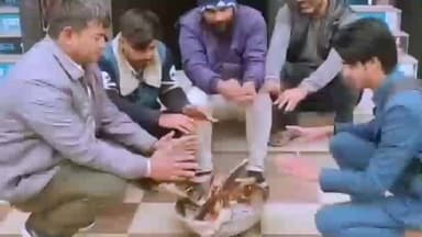 मलसीसर: बिसाऊ में शीतलहर के प्रकोप से लोगों की कंपकंपी, दिनभर छाया रहा कोहरा