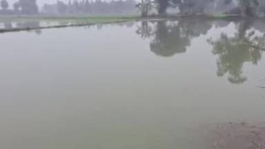 घाटमपुर: बरईगढ़ माइनर में तीसरी बार अचानक कटी खांधी, 15 बीघे फसल जलमग्न, किसान आक्रोशित