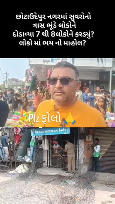 છોટાઉદેપુર નગરમાં સુવરોનો ત્રાસ ભૂંડે લોકોને દોડાવ્યા 7 થી 8લોકોને કરડ્યું? લોકો માં ભય નો માહોલ?