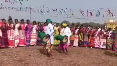 कर्माटांड /विद्यासागर: बांस पहाड़ी मैदान में सोहराय मिलन समारोह आयोजित, पारंपरिक वेशभूषा में शामिल हुए क्षेत्र के प्रतिनिधि