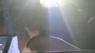 கூடலூர்: தேவர்சோலை பகுதியில் உலா வந்த காட்டு யானைகள்