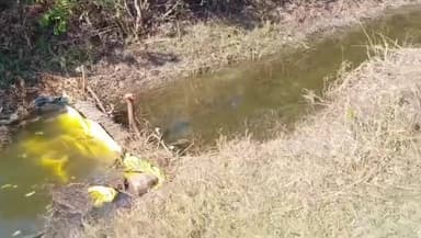 रन्नौद: पहाड़ाखुर्द में नहर की बदहाली और दबंग किसानों की मनमानी से छोटे किसानों की फसल संकट में