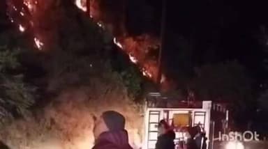नैनीताल: नैनागांव के जंगल में लगी आग, वन विभाग और दमकल ने पाया काबू