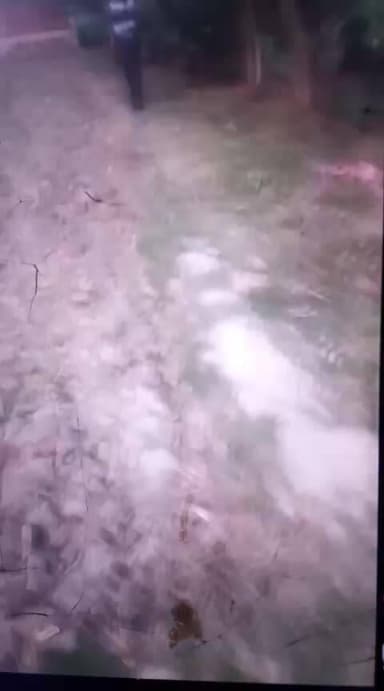 Semari taluka purwa me kukhh gunda type ke Ladko dwara Vikash Pandey ko dauda dauda kar mara gya 5Dec2025 ko