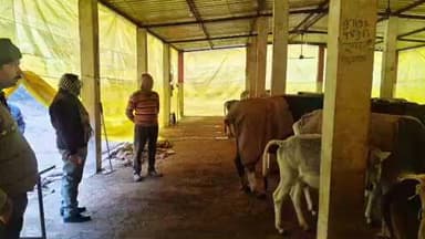 कलीनगर: परशुरामपुर गौशाला का एसडीएम ने किया निरीक्षण, जारी किए निर्देश