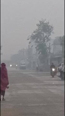 सिकराय: बांदीकुई व सिकराय में घना कोहरा, तापमान 6 डिग्री, पांच से अधिक ट्रेनें घंटों लेट, शीतलहर जारी