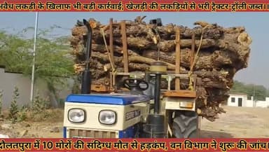 #अवैध_लकड़ी_के_खिलाफ_कार्रवाई_खेजड़ी_की_लकड़ियों #से_भरी_ट्रैक्टर_ट्रॉली_जब्त_वन_विभाग_ने_शुरू_की_जांच
#avedh #lakadi #...