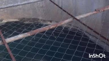 मल्हारगढ़: पिपलियामंडी में कांग्रेस के प्रदर्शन के बाद जागे नगर परिषद के अधिकारी, किया जल निरीक्षण