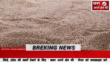 मोहन बड़ोदिया कृषि उपज मंडी में मंगलवार को सोयाबीन, गेहूं और सरसों की रही आवक, सोयाबीन उच्चतम ₹5022 तक बिका #मंडी_न्यूज़