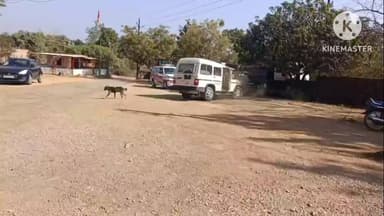 उचेहरा: वार्ड क्रमांक 7 से लापता नाबालिग को उंचेहरा पुलिस ने ढूंढकर परिजनों को सौंपा