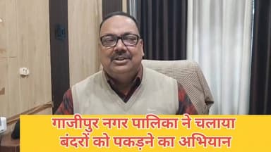 #गाजीपुर शहर में पिछले कई सालों से जारी बंदरों के आतंक पर अब नगर पालिका प्रशासन ने कार्रवाई शुरू कर दी है। शहरी क्षेत्र ...