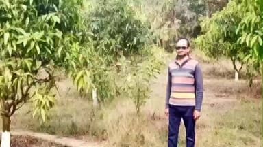 धालभूमगढ़: युवा किसान मनोरंजन सिंह आम बागवानी से बने आत्मनिर्भर